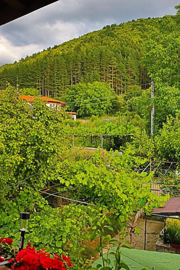 Green House - Попниколови ساباريفا بانيا المظهر الخارجي الصورة